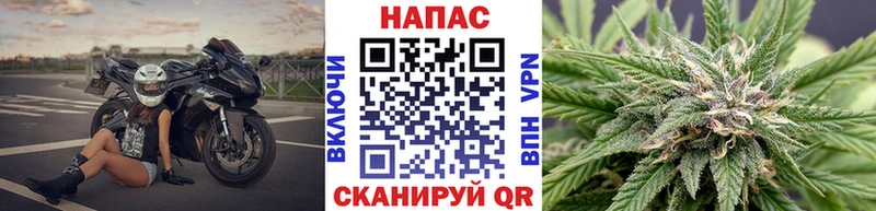 Марихуана тримм  Купить закладки  Шагонар 